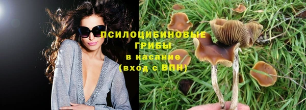 твердый Верхнеуральск