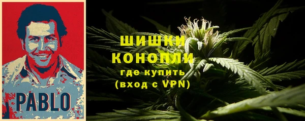 прущая мука Верея